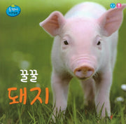 꿀꿀 돼지(올챙이 자연동화)(보드북)