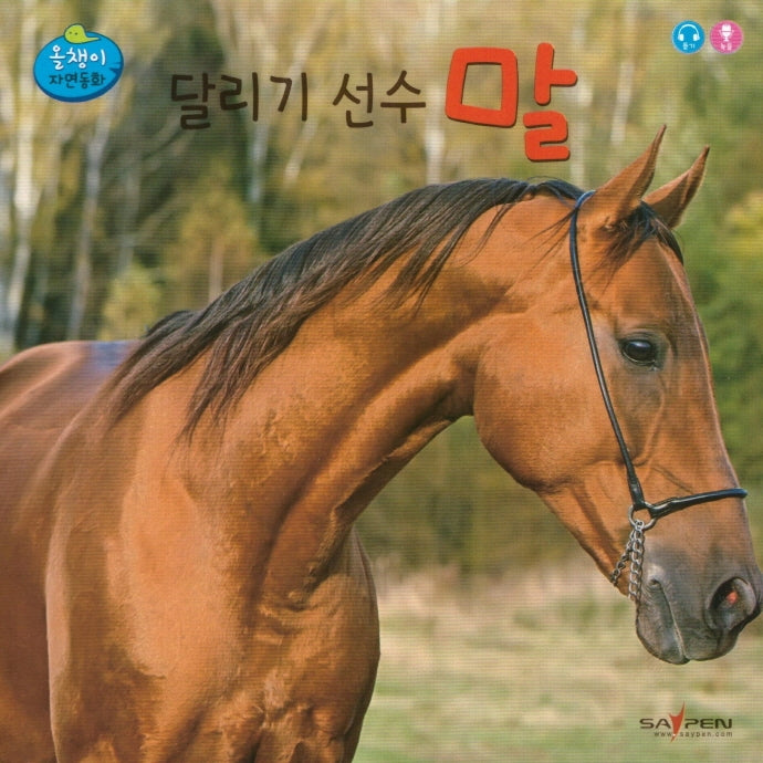 달리기 선수 말(올챙이 자연동화)(보드북)
