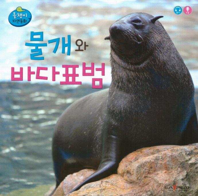 물개와 바다표범(올챙이 자연동화)(보드북)