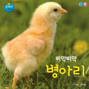 삐약삐약 병아리(올챙이 자연동화)(보드북)
