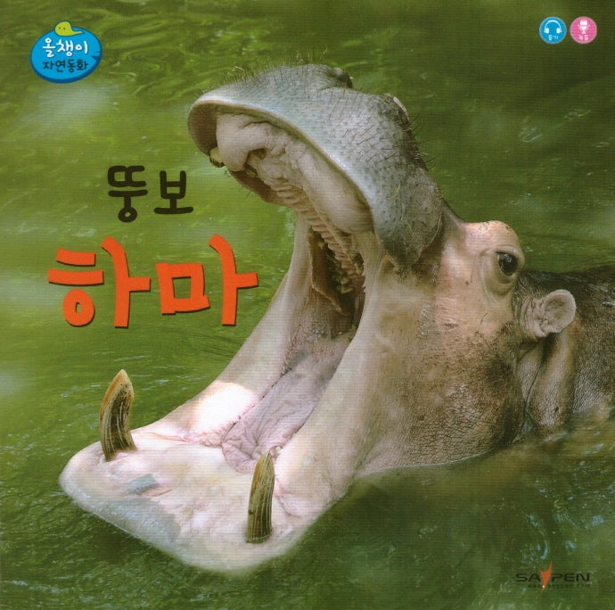 뚱보 하마(올챙이 자연동화)(보드북)