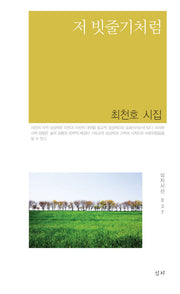 저 빗줄기처럼(심지시선 37)