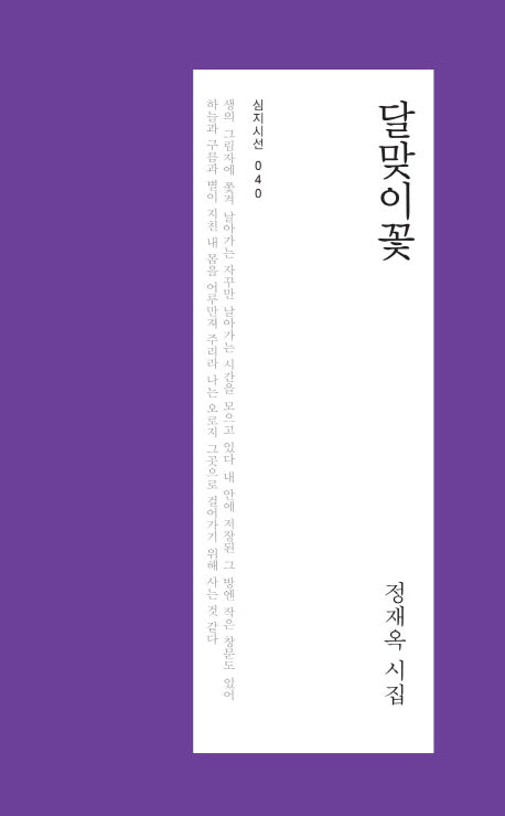 달맞이꽃(심지시선 40)