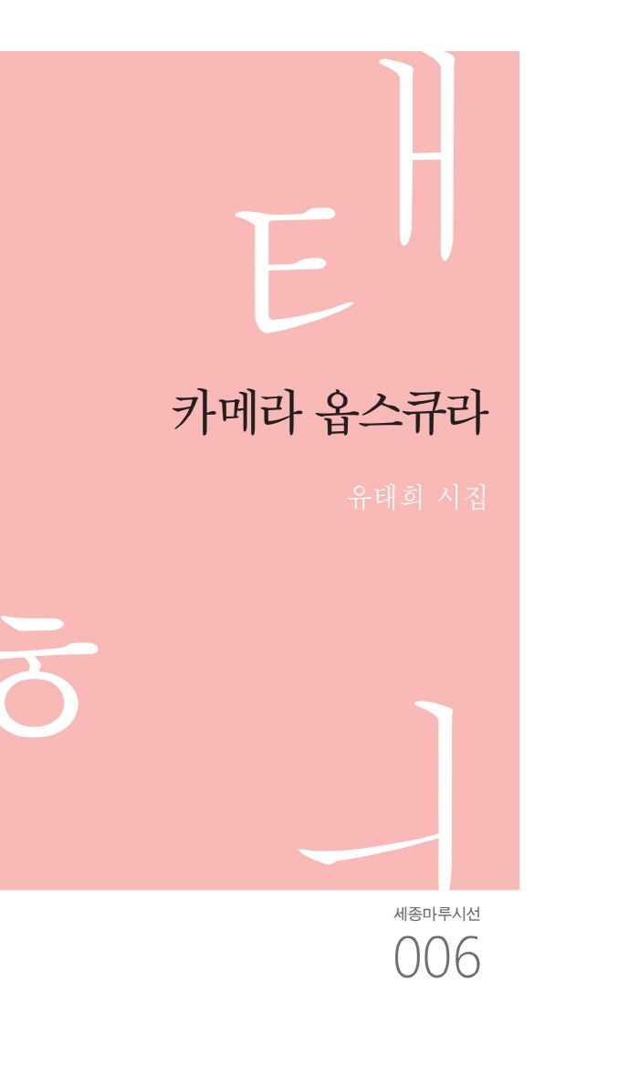 카메라 옵스큐라(세종마루시선 6)