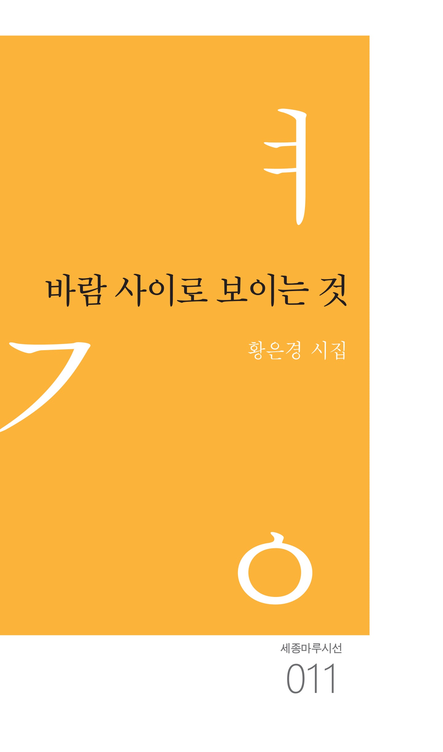 바람 사이로 보이는 것(세종마루시선 11)