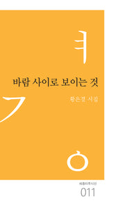 바람 사이로 보이는 것(세종마루시선 11)