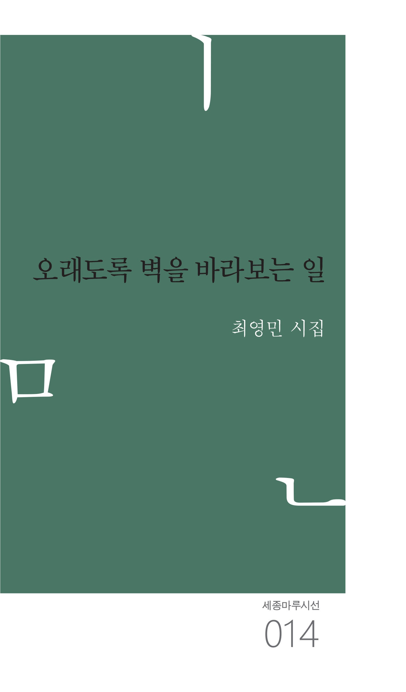 오래도록 벽을 바라보는 일(세종마루시선 14)