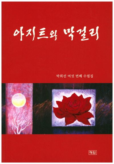 아지트와 막걸리
