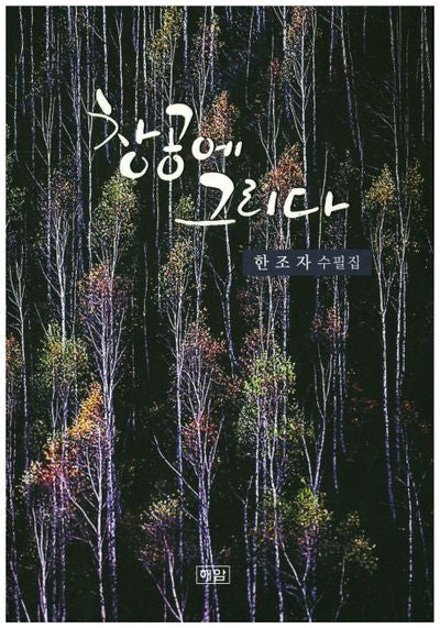 창공에 그리다