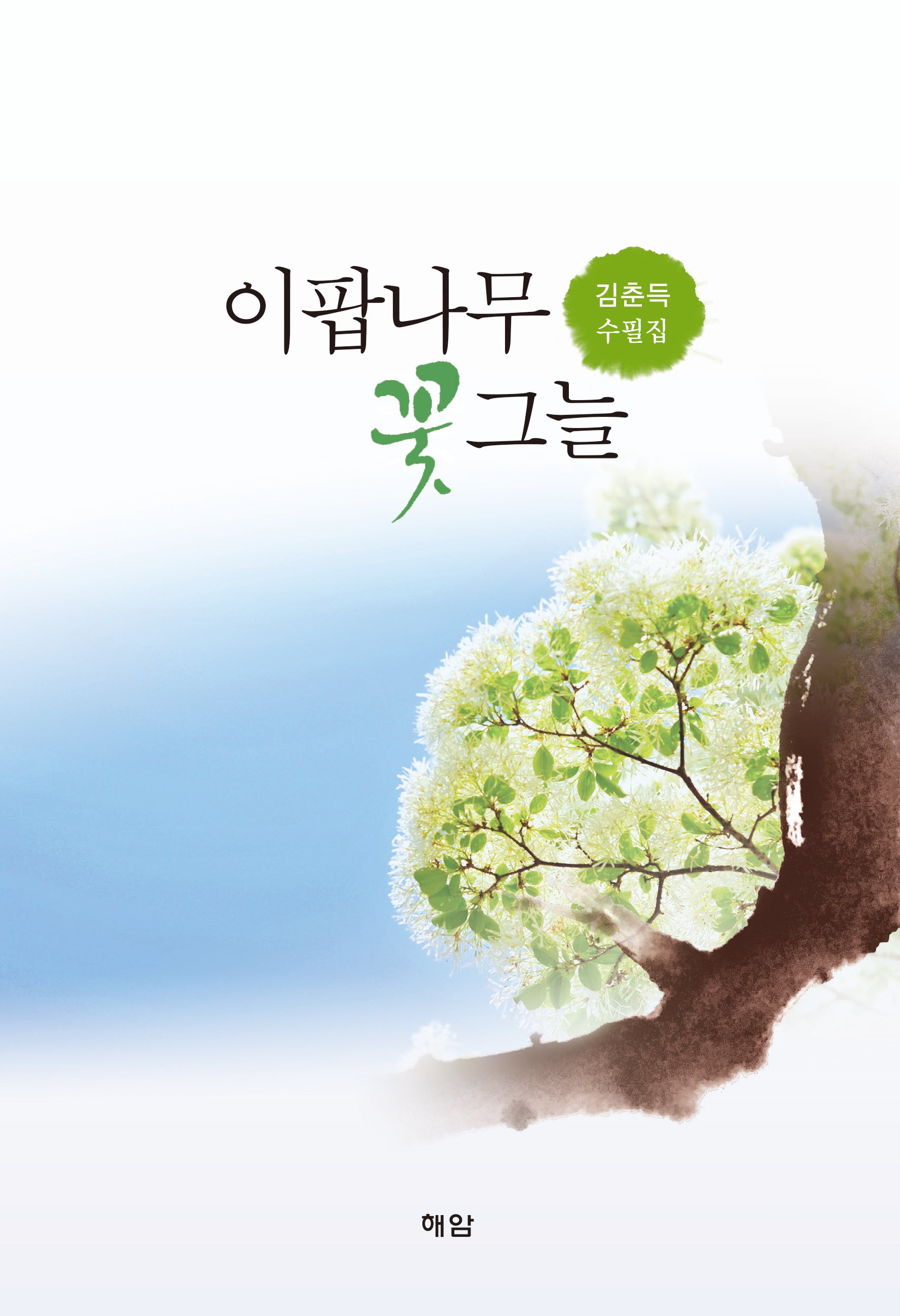 이팝나무 꽃그늘