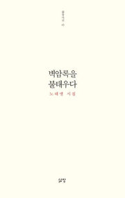 벽암록을 불태우다(삶창시선 45)