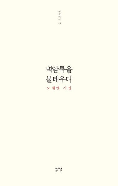 벽암록을 불태우다(삶창시선 45)