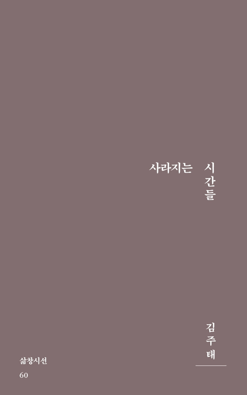 사라지는 시간들(삶창시선 60)