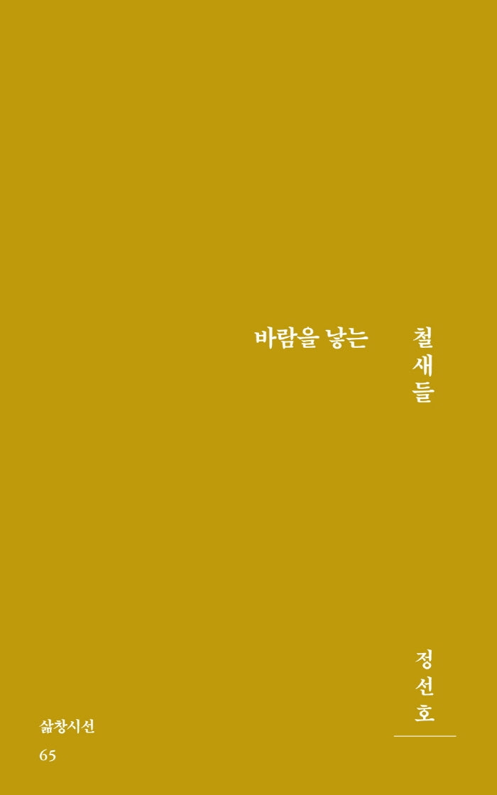 바람을 낳는 철새들(삶창시선 65)