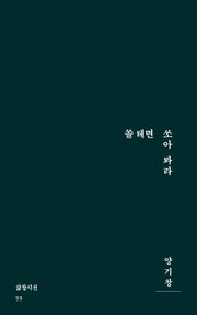 쏠 테면 쏘아 봐라(삶창시선 77)