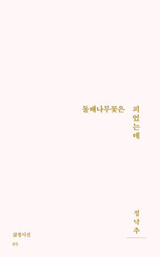돌배나무꽃은 피었는데(삶창 시선 85)
