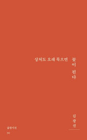 상처도 오래 묵으면 꽃이 된다(삶창시선 90)
