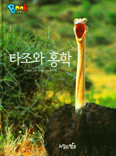타조와 홍학(Book Bang)(양장본 Hardcover)