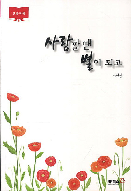 사랑할 땐 별이 되고(큰글자책)