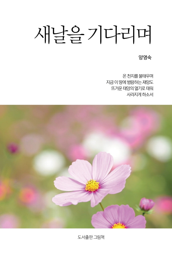 새날을 기다리며(인향문단 시선 16)