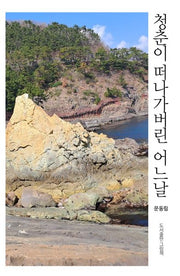 청춘이 떠나가버린 어느날(인향문단 시선 31)