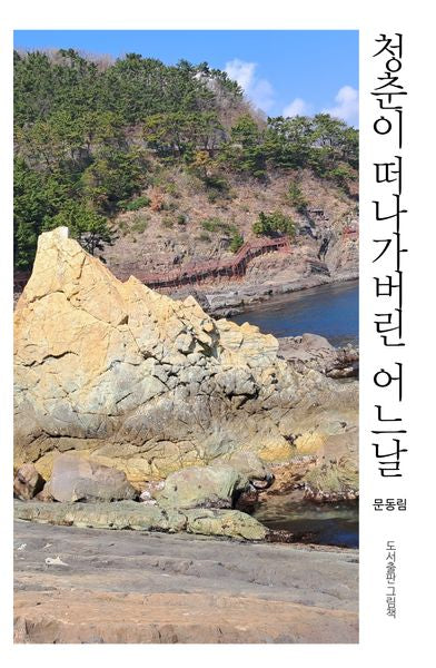 청춘이 떠나가버린 어느날(인향문단 시선 31)