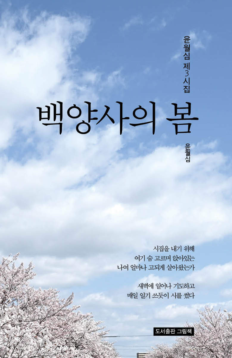 백양사의 봄
