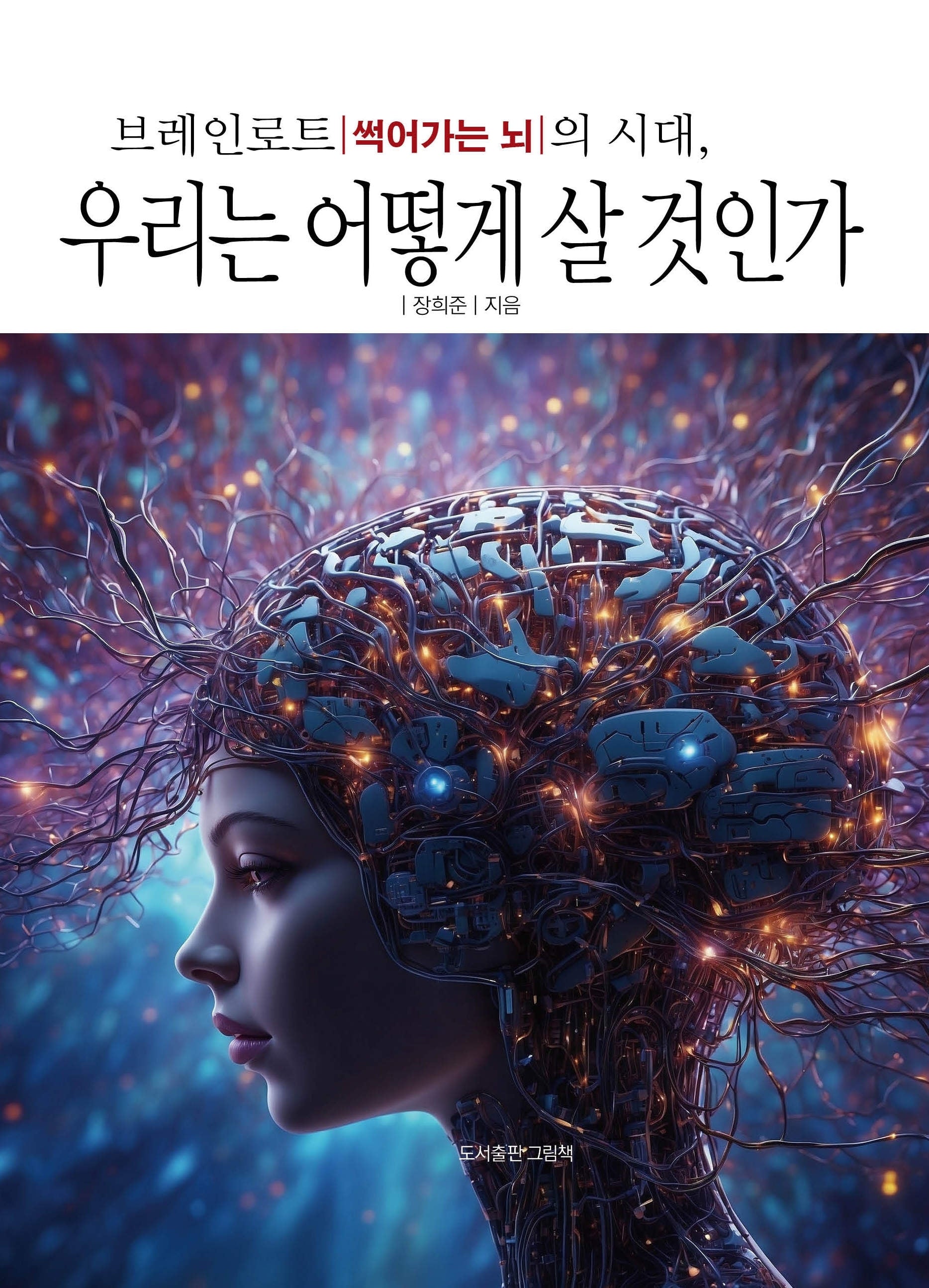 브레인로트 썩어가는 뇌의 시대, 우리는 어떻게 살 것인가