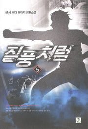 질풍처럼 5