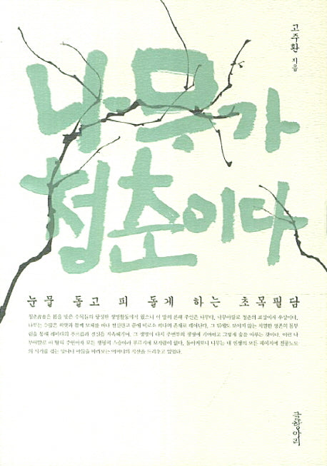 나무가 청춘이다
