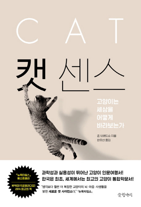 캣 센스