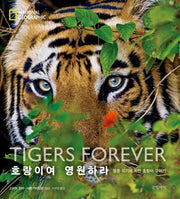 호랑이여 영원하라(양장본 HardCover)