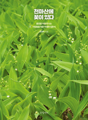 천마산에 꽃이 있다