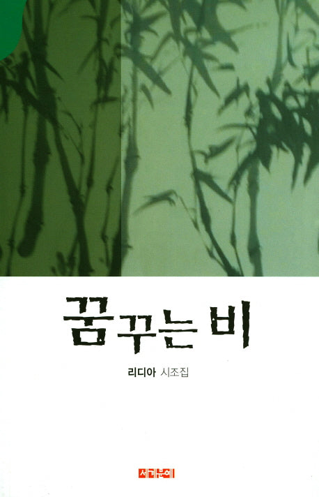 꿈꾸는 비