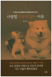 사랑할 수밖에 없는 이유