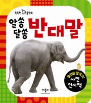 알쏭달쏭 반대말(똑똑한 아기 플랩북)(플랩북)