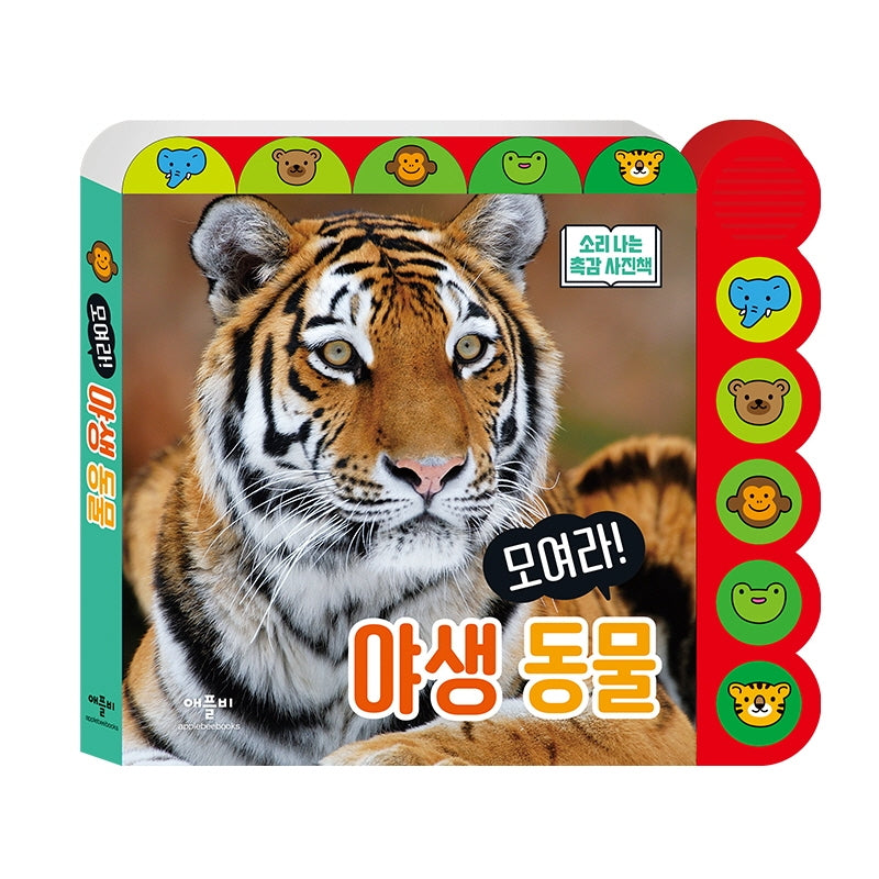 모여라! 야생동물(소리 나는 촉감 사진책)(보드북)