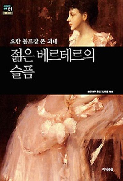 젊은 베르테르의 슬픔(세계문학산책 1)