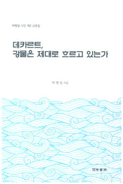 데카르트, 강물은 제대로 흐르고 있는가(박행일 시인 제2 산문집)