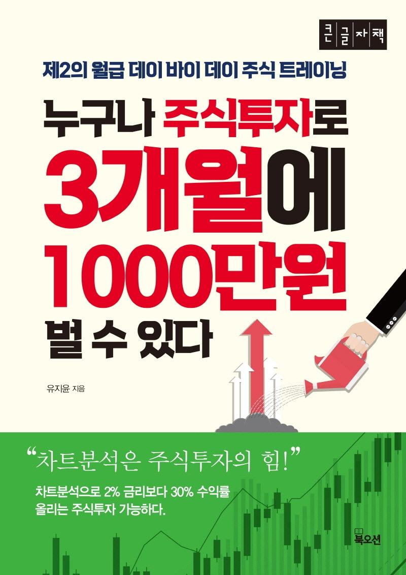 누구나 주식투자로 3개월에 1000만원 벌 수 있다(큰글자책)