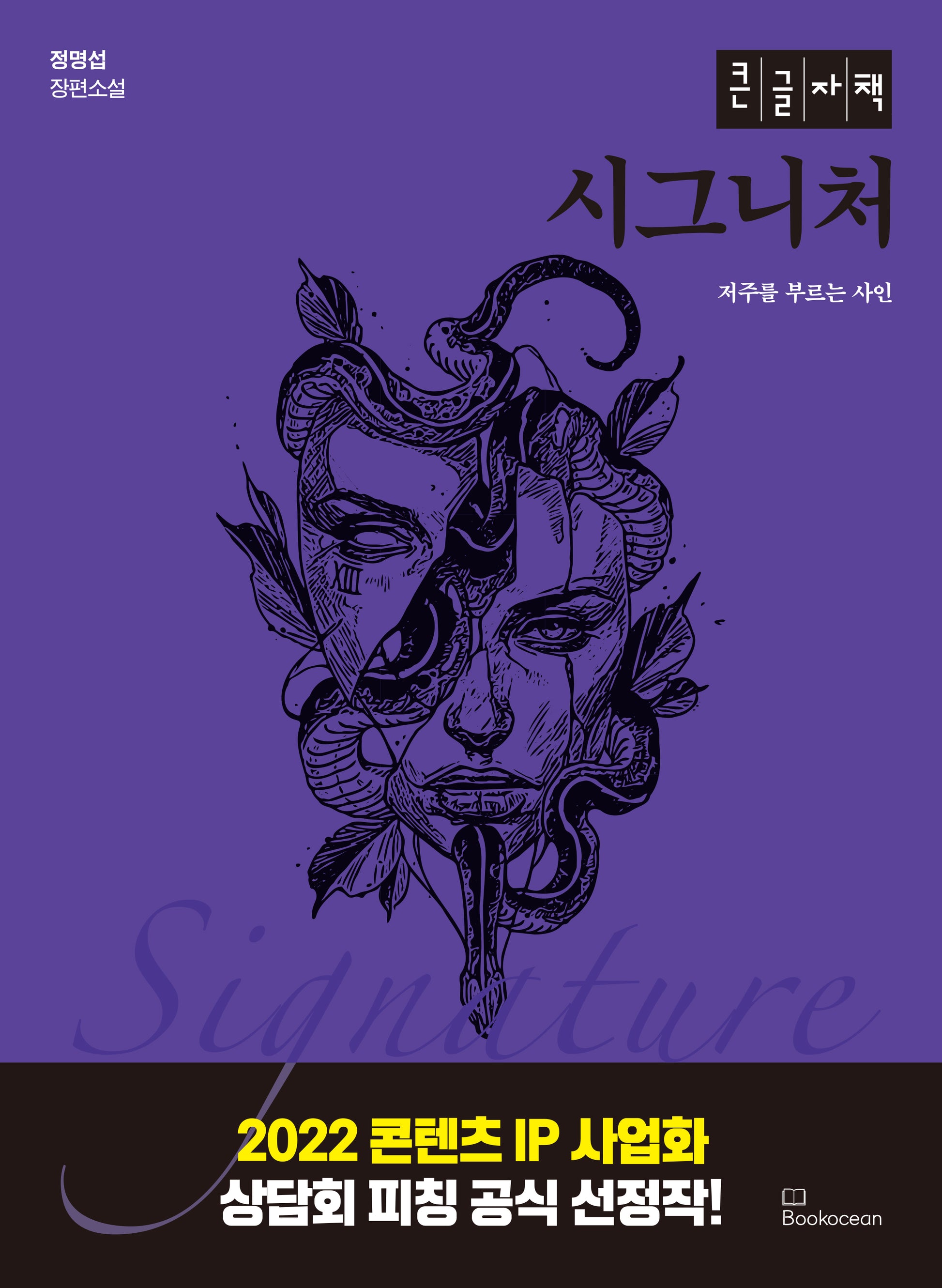 시그니처(큰글자책)