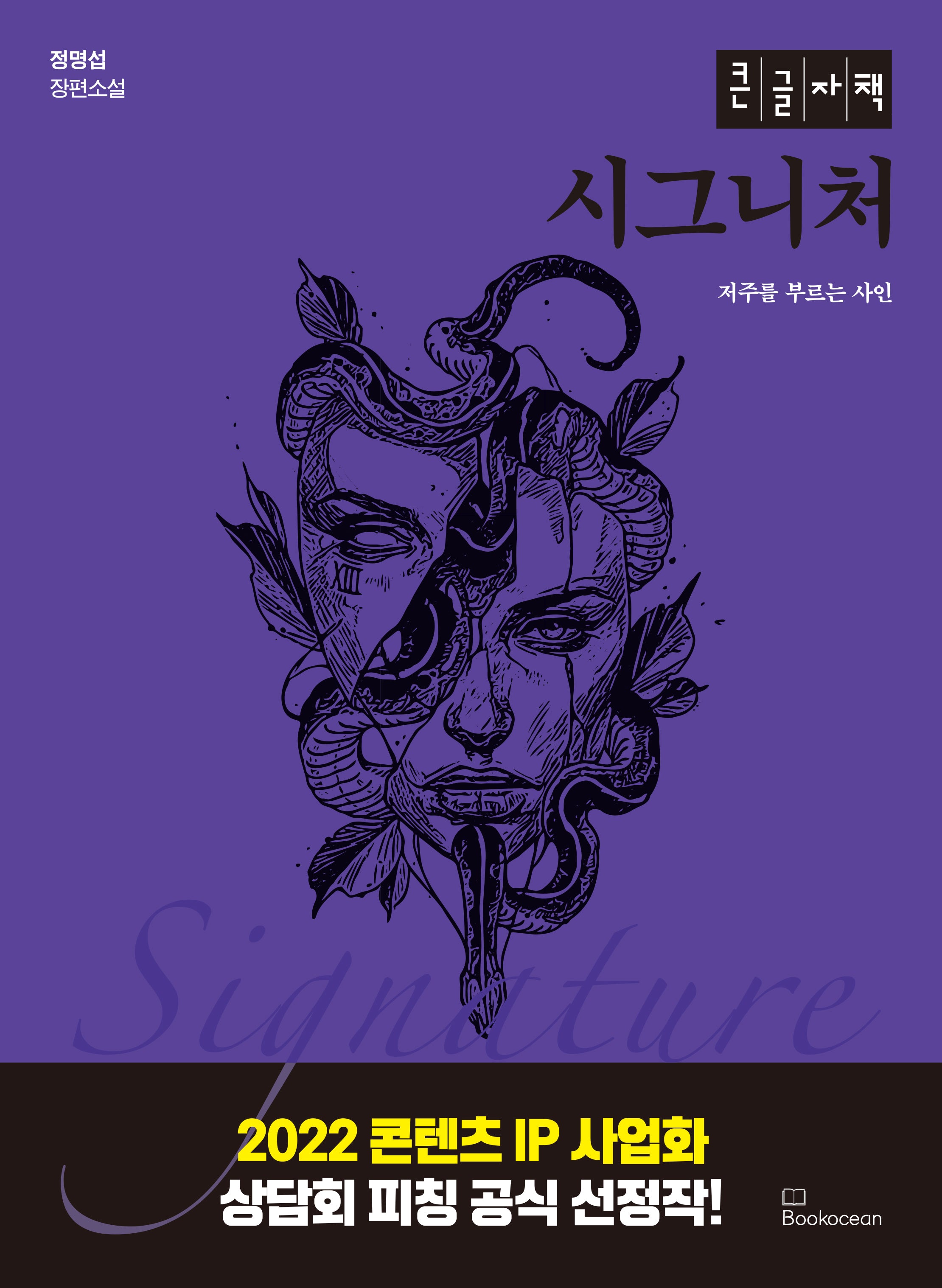 시그니처(큰글자책)