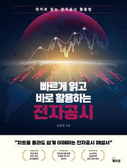 빠르게 읽고 바로 활용하는 전자공시