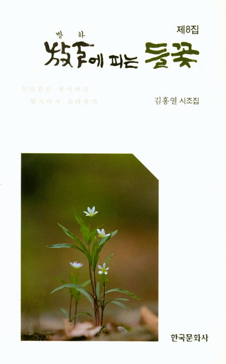방하에 피는 들꽃