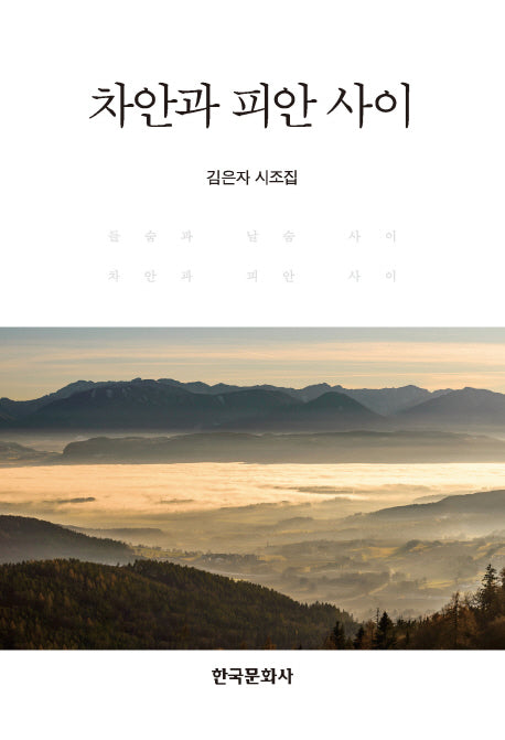 차안과 피안 사이(양장본 Hardcover)