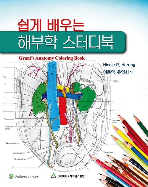쉽게 배우는 해부학 스터디북