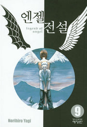 엔젤전설 9(애장판)