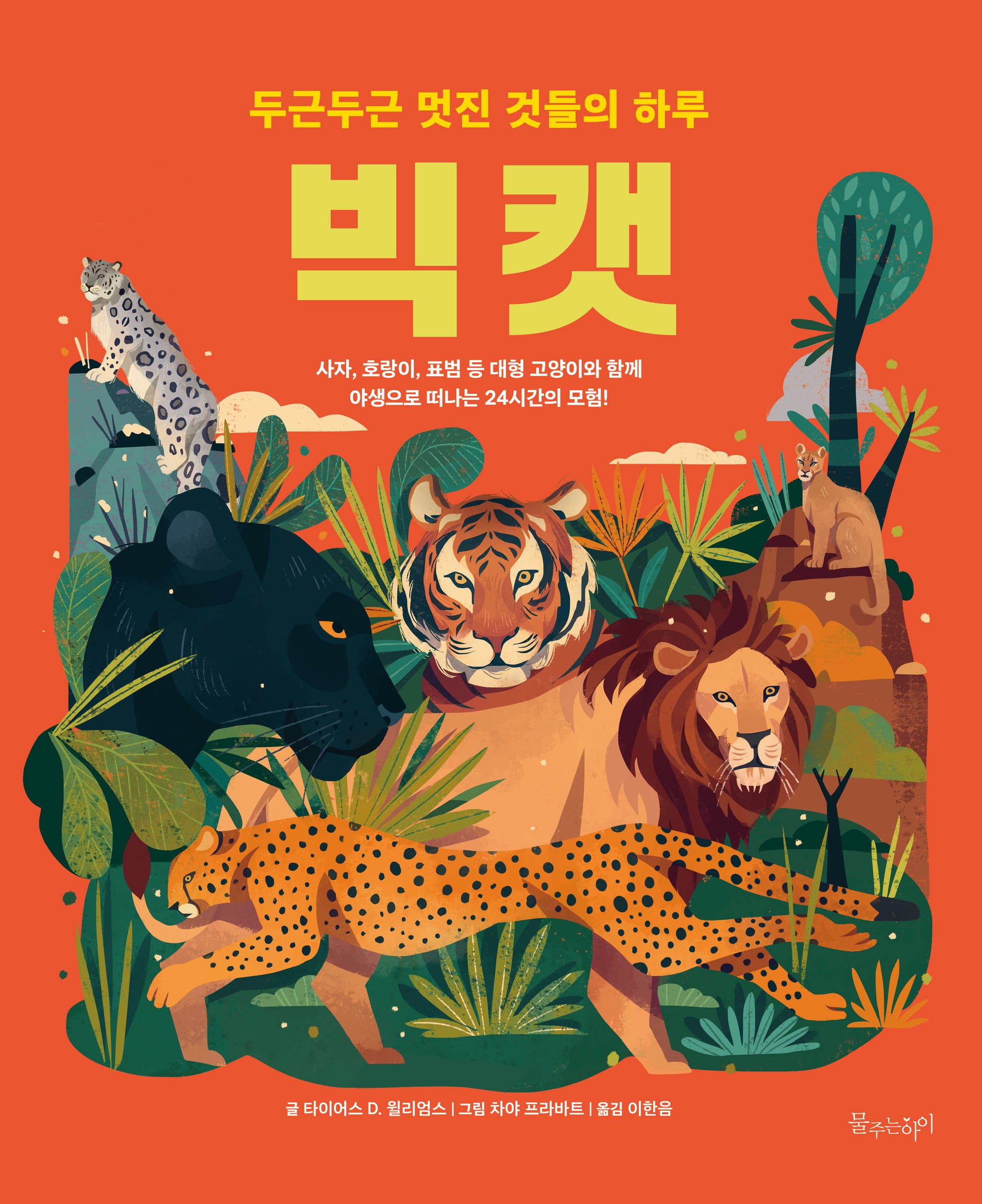 빅캣(두근두근 멋진 것들의 하루)(양장본 Hardcover)