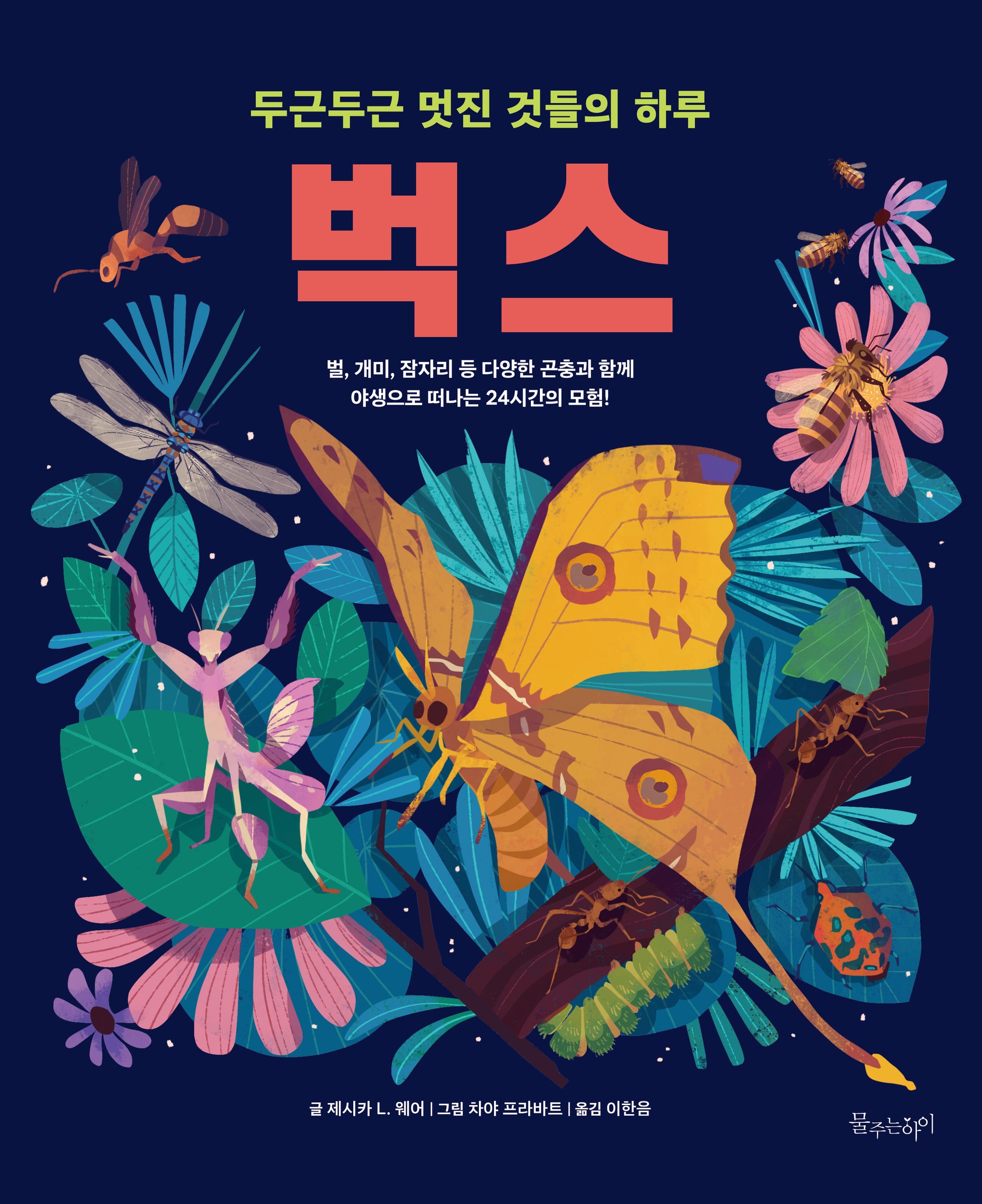 벅스(두근두근 멋진 것들의 하루)(양장본 Hardcover)