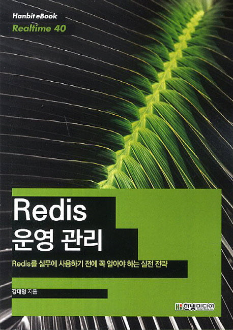 Redis 운영 관리(Hanbit eBook Realtime 40)